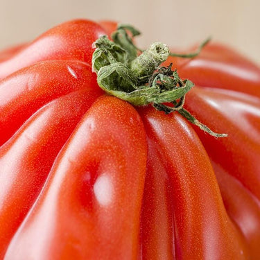 Costoluto Genovese Tomato Seeds - The Pepper Pantry (Formerly Marie Sharp's)
